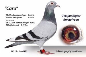 a8557704fe45ffbbfd56a842599abbb9-1      