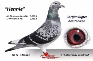 fc6e89667cf3784bd758e3588734edb6      